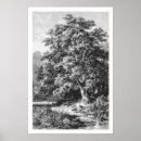 Suche nach eichenbaum poster Landschaft