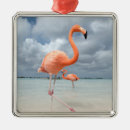 Suche nach flamingo ornamente Strand