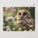 Suche nach ochse postkarten Natur