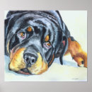 Suche nach rottweiler poster Aquarell