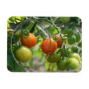 Suche nach gardens magnete Für sie