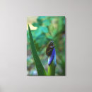 Suche nach frog leinwandbilder Amphibien