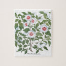 Suche nach hibiskus puzzle Natur