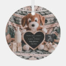 Suche nach hundebaby Jede person