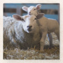Suche nach schäfer untersetzer Haustiere