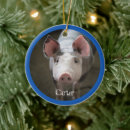 Suche nach niedliches schwein ornamente Personalisiert