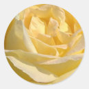 Suche nach rosenfoto Für sie