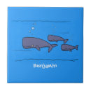 Suche nach wale fliesen Meer