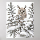 Suche nach schnee eulen poster Weiß