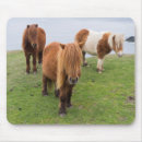 Suche nach nahe mousepads Küste
