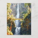 Suche nach multnomah fall Fotografie