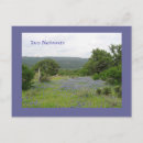 Suche nach texas bluebonnet postkarten Bluebonets