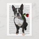 Suche nach boston terrier postkarten Dampfhunde