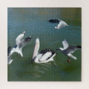 Suche nach pelikan puzzle Vogel