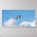 Suche nach seemöwen alle poster Ozean