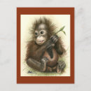 Suche nach orang utans postkarten Wild