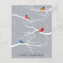Suche nach vogel im winter postkarten Winterwunderland