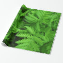 Suche nach grüner farn geschenkpapier Jede person
