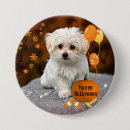 Suche nach feiertags buttons Hund