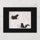Suche nach eichhörnchen foto postkarten Schnee