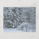 Suche nach winterbäume postkarten Wald