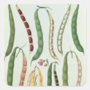 Suche nach die bohne aufkleber Gemüse