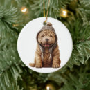 Suche nach shar pei ornamente Haustier