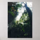 Suche nach nature poster Tropisch