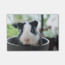 Suche nach entzückende tiere post it Tierliebhaber