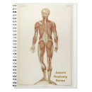Suche nach muskeln kleine notizbücher Anatomie