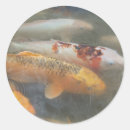 Suche nach koi fisch aufkleber Dutzend