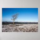 Suche nach alter baum poster Winter