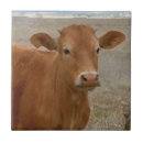 Suche nach vieh fliesen Für alle