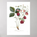 Suche nach vintage erdbeeren poster Malerei