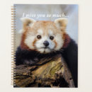 Suche nach china planer Roter panda