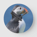 Suche nach klippe poster wanduhren Schnabel