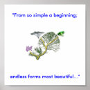 Suche nach evolution kunst Baum