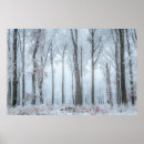 Suche nach winterwald poster Baum