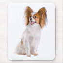 Suche nach papillon hund mousepads Für alle
