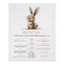 Suche nach bunny poster Spaß