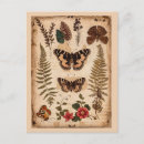 Suche nach vintage schmetterlinge postkarten Jede person