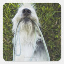 Suche nach abweichung aufkleber Im freien