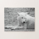 Suche nach wolf puzzle Tier