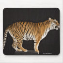 Suche nach plattformen mousepads Stärke