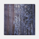 Suche nach sequoia magnete Mammutbaum