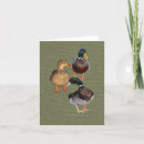 Suche nach lustige enten karten Stockenten