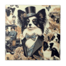 Suche nach papillon fliesen Papillenhund
