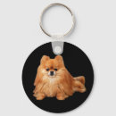 Suche nach pomeranian schlüsselanhänger Dog