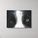 Suche nach border collie leinwandbilder Weiß