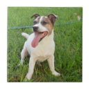 Suche nach zungen fliesen Hund